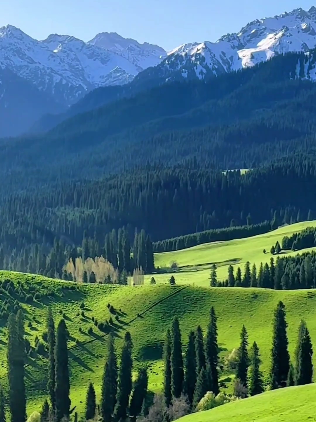 新疆伊犁风景