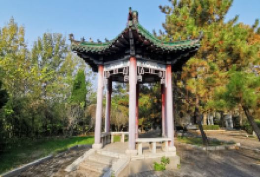 莲花山公园景点图片