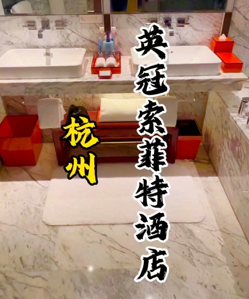 杭州英冠索菲特酒店图片