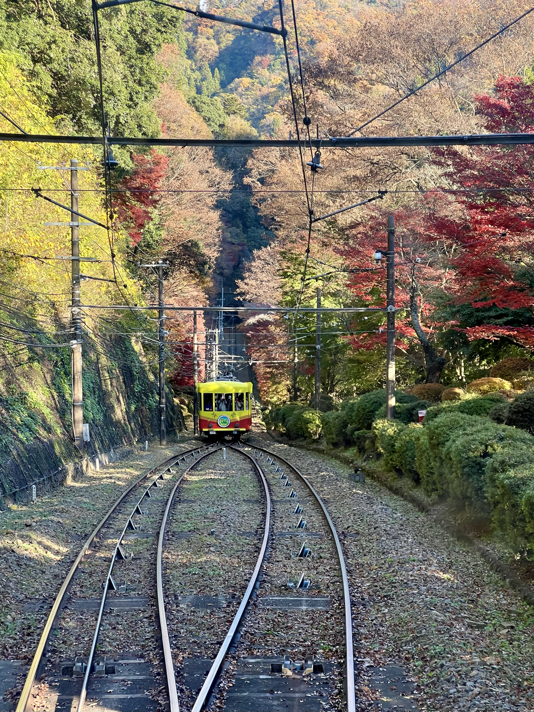 高尾山