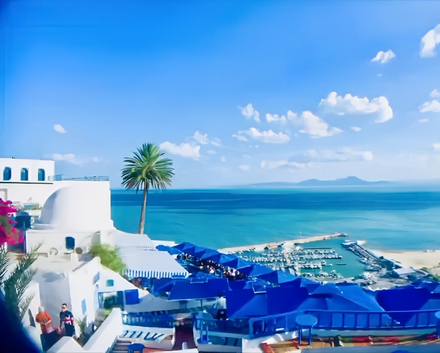 最摩登的蓝色小镇--突尼斯