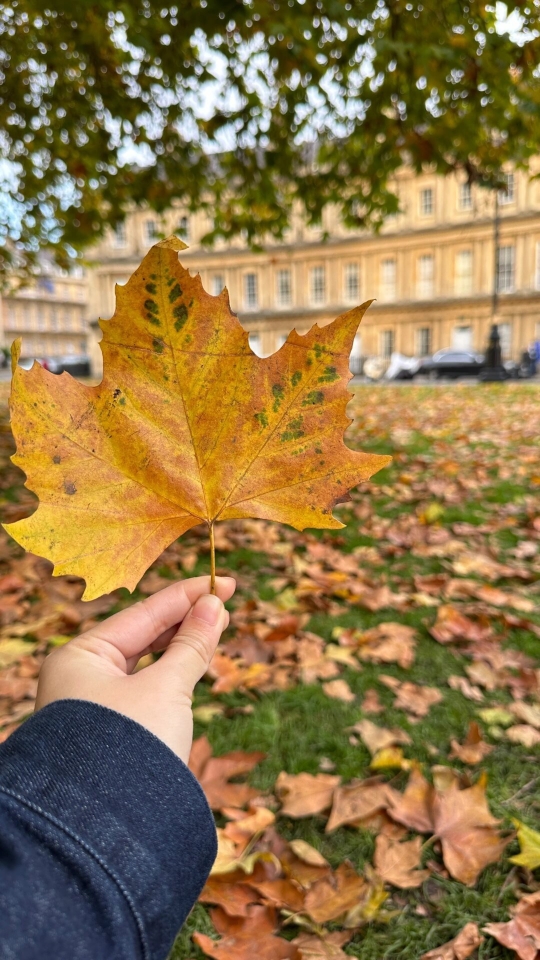 Yum Yum Thai Bath餐厅图片