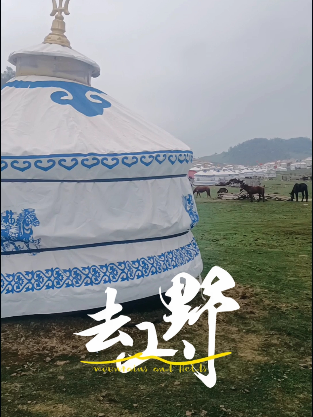 一直想在蒙古包里住一晚体验牧民的感觉，这里有各种各样大小的包，感觉不错[Tiptop]