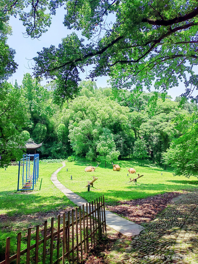 宁海横山岛,人称"小普陀"