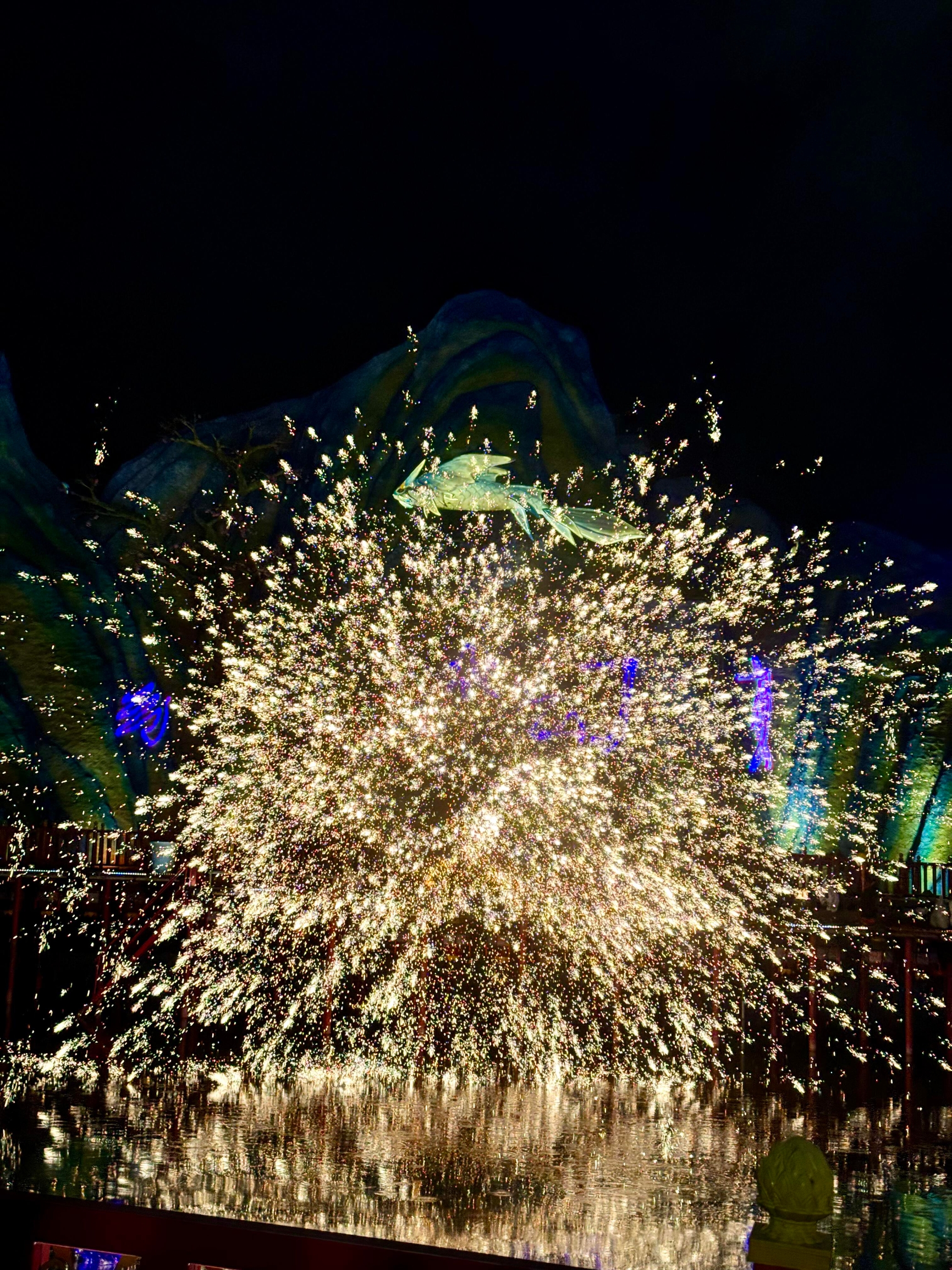 伴溪月金汤猪肚鸡餐厅图片
