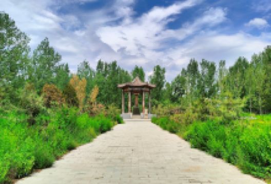 义慈惠石柱景点图片