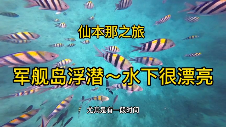 仙本那第一次下水浮潜，这里的鱼很多很漂亮