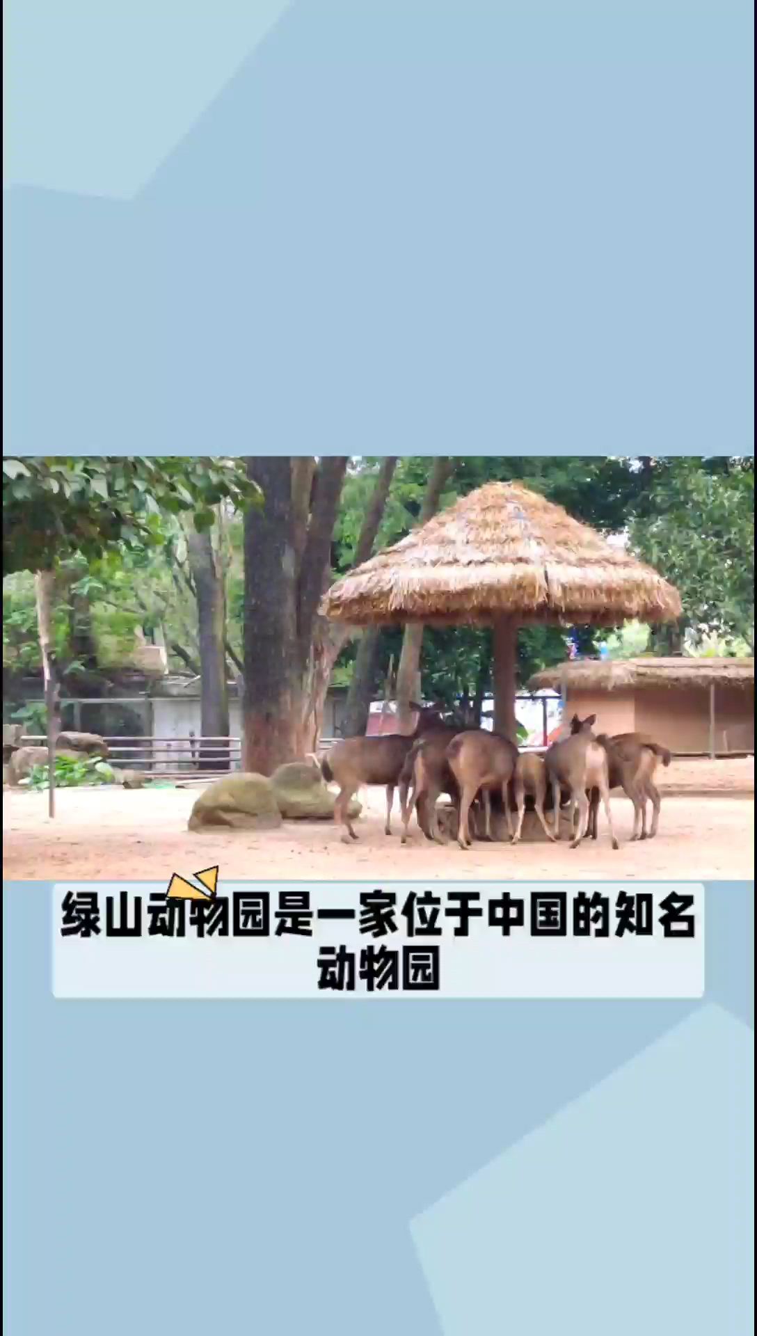 绿山动物园：探秘中国知名动物园