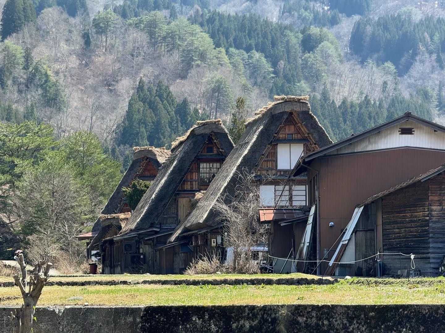 这里是白川乡合掌村，以前是冬天的时候来过，春天算淡季吧，但是国外来的团特别多，我们从高山市坐大巴过来