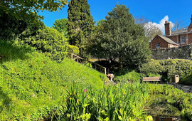 Bill's Guildford
