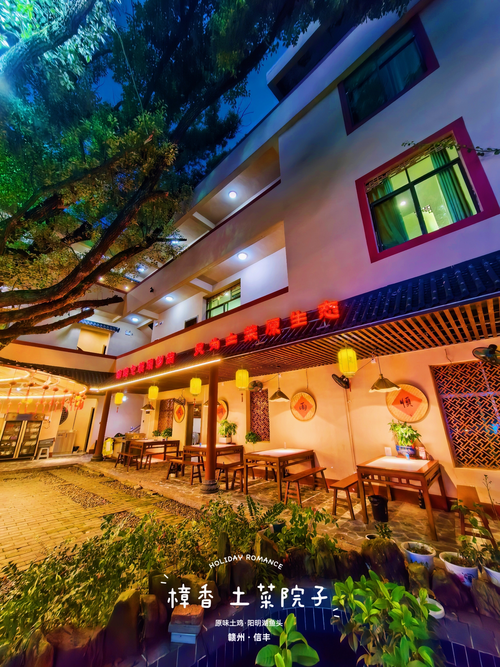 樟香•土菜院子|原味土鸡·阳明湖鱼头餐厅图片