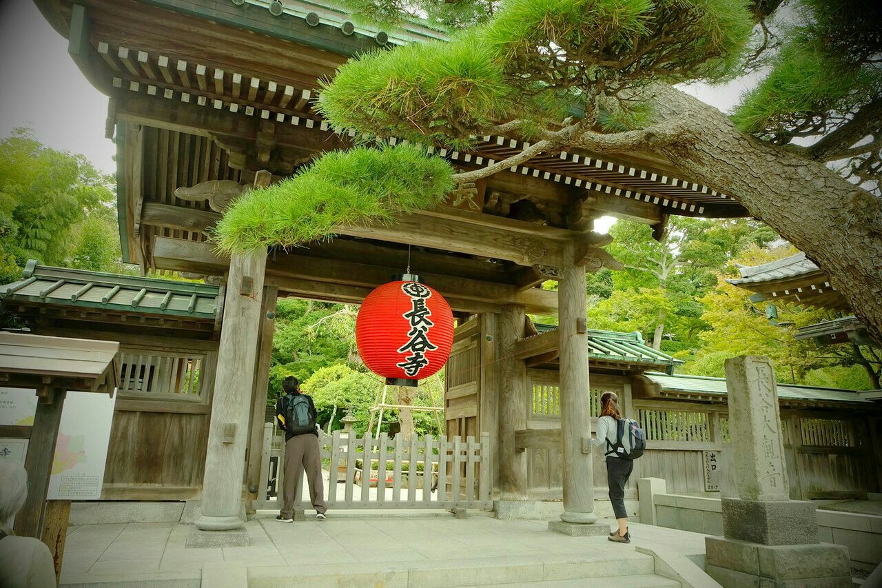 去看日本和尚的长谷寺