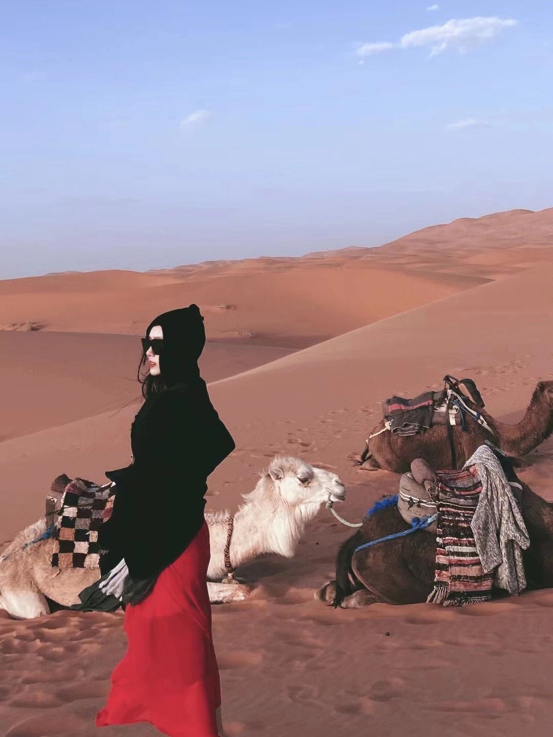 沙漠之王:摩洛哥撒哈拉沙漠