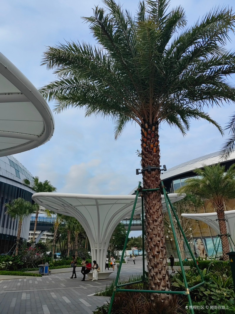 三亚免税店购物全攻略，不做攻略真的不敢来！