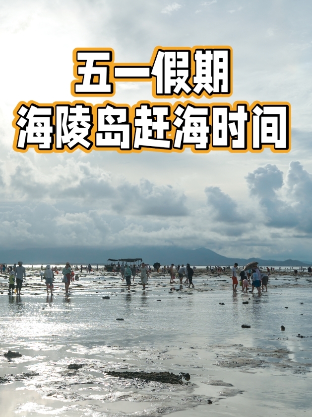 五一假期赶海时间|阳江海陵岛🌊