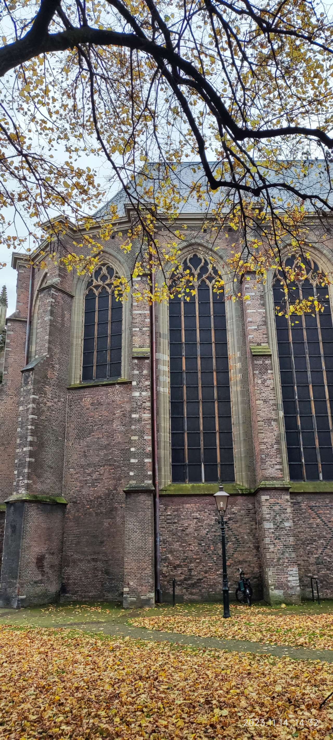 Grote kerk，一个位于多德雷赫特的大教堂，在秋天落叶的衬托下倍感沧桑。