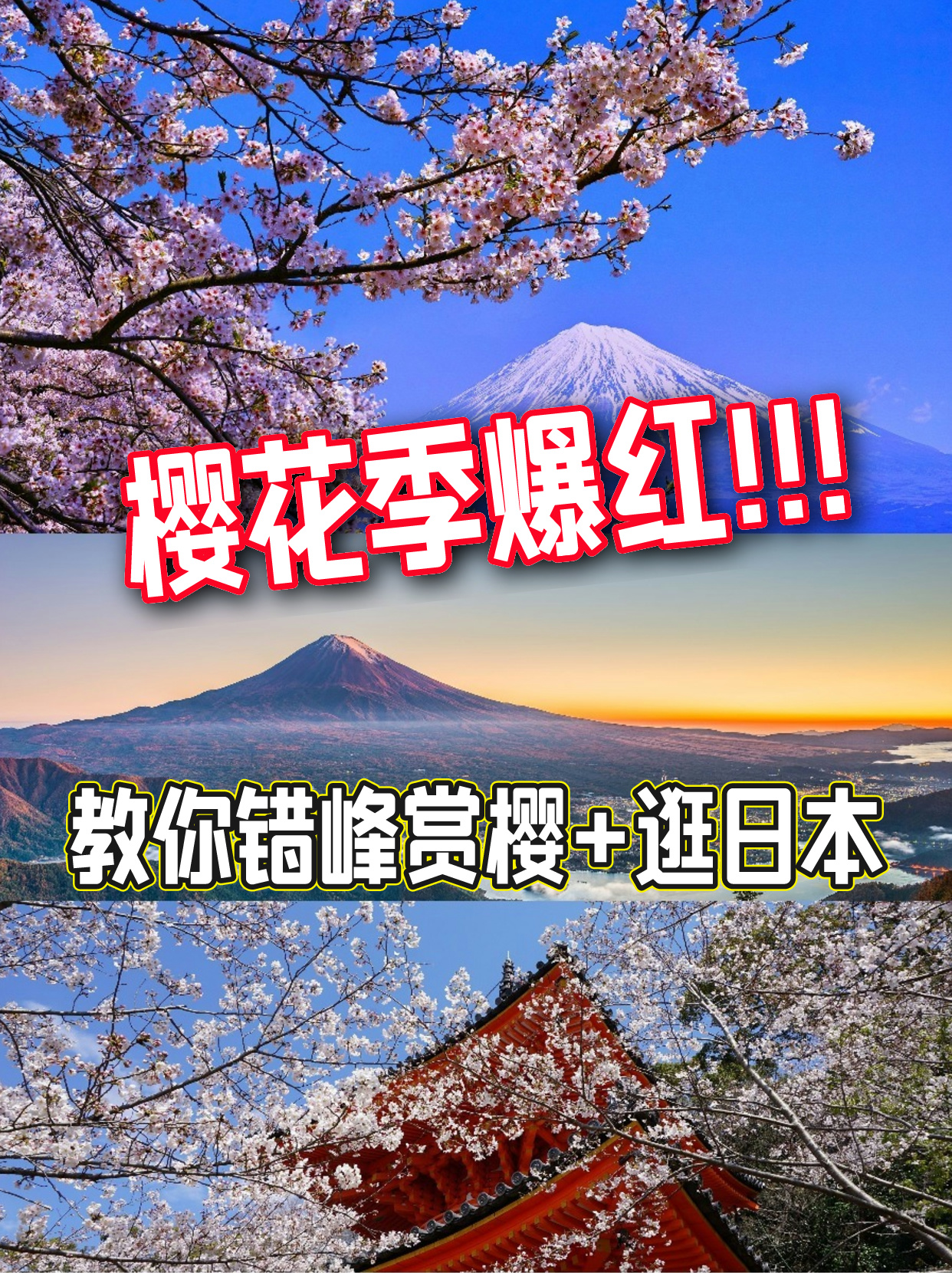 樱花季爆红！！教你错峰赏樱🌸逛日本
