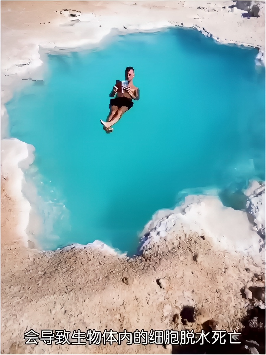 死海为什么淹不死人？有机会的话，你想来这里游泳吗？#死海 #大自然美景
