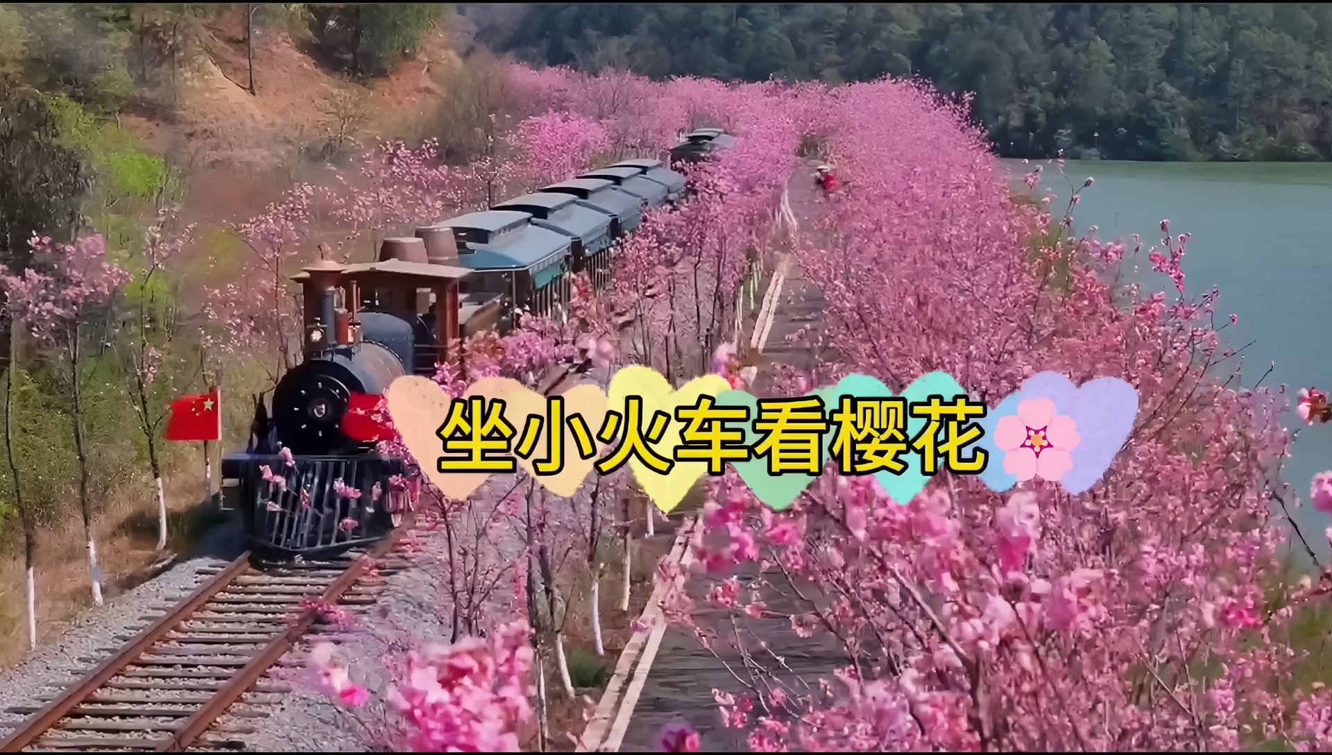 坐小火车🚞   看樱花🌸🤗😎