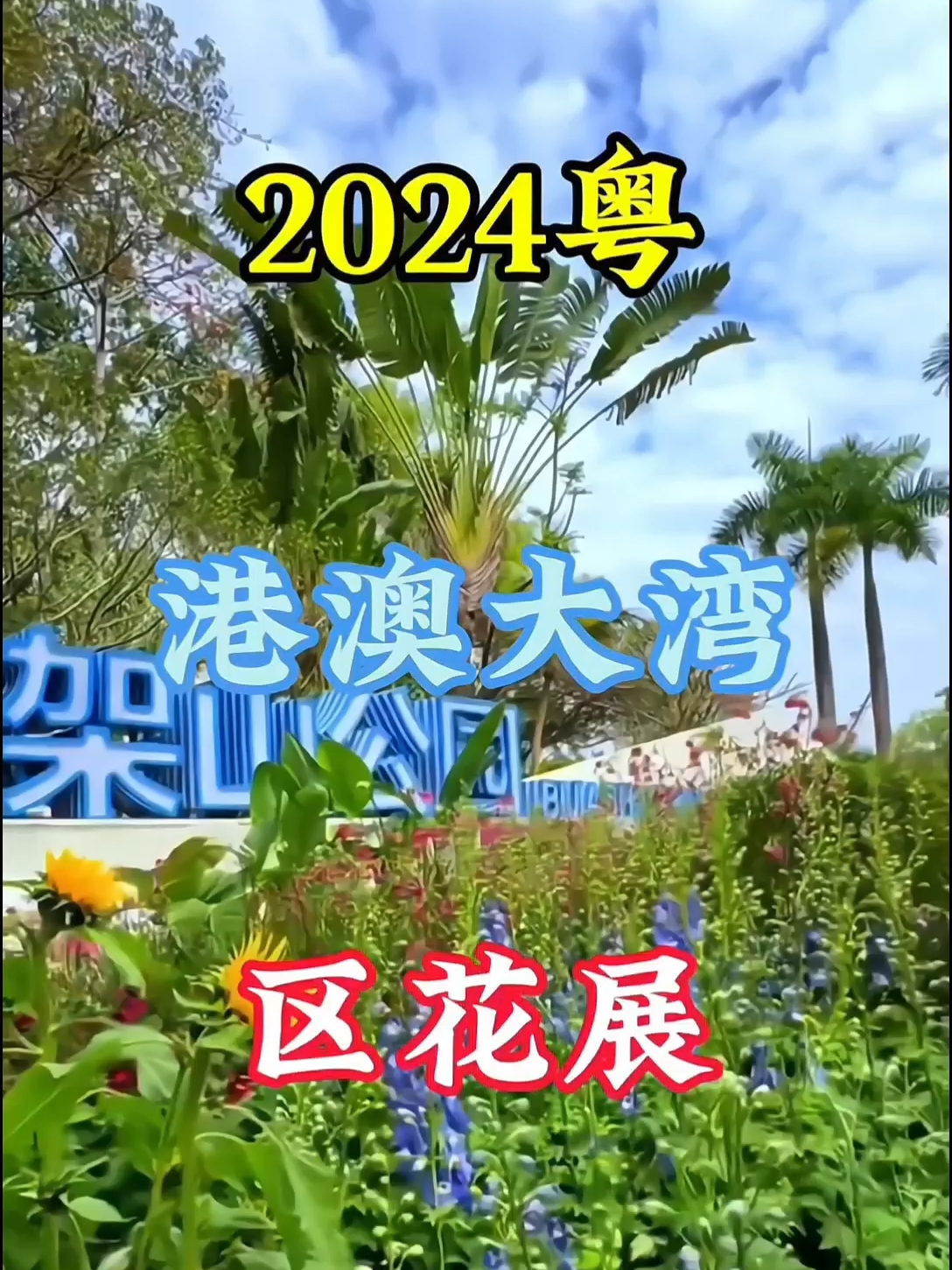 2024粤港澳大湾区花展，这么好看的花景区你想带谁一起去呀