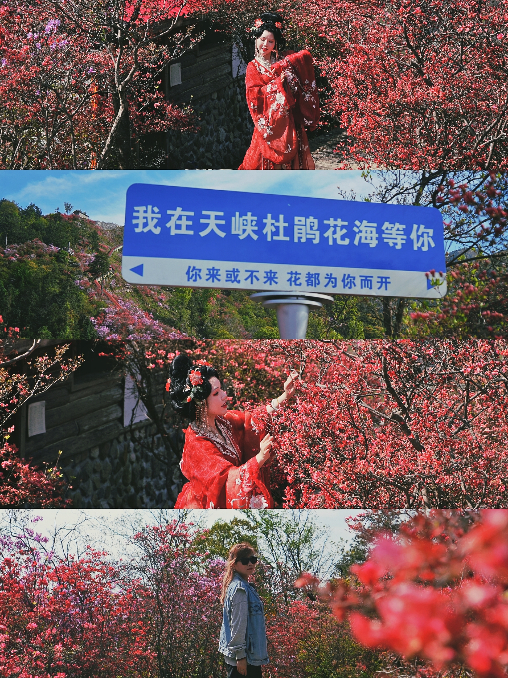 #春天玩点花的   安庆市是国家级历史文化名城，古皖文化、禅宗文化、戏剧文化和桐城派文化在这里交相辉