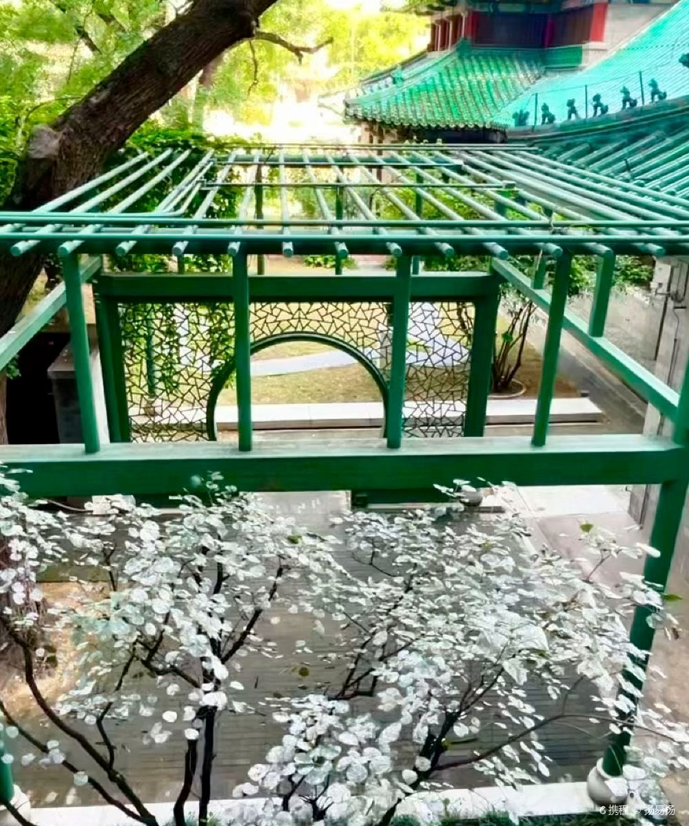 北京东方君悦大酒店图片