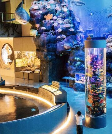 天目山树华酒店·希尔顿格芮精选图片