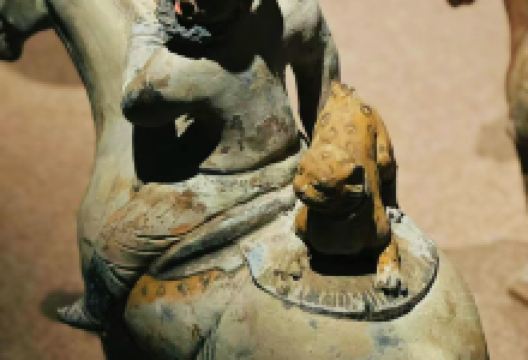 金乡县博物馆景点图片