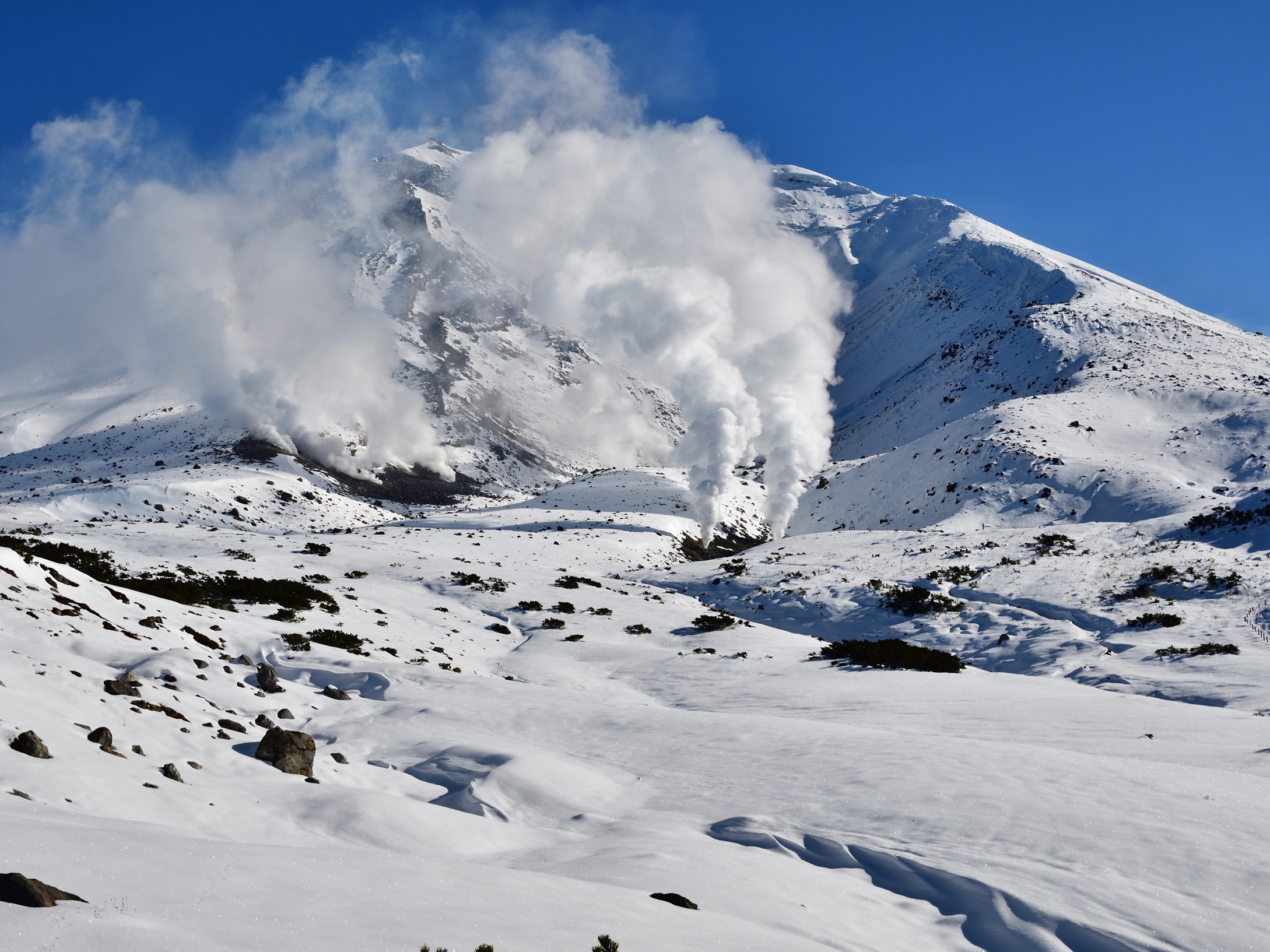 旭岳冬日赏雪：2290米的浪漫，你准备好了吗？