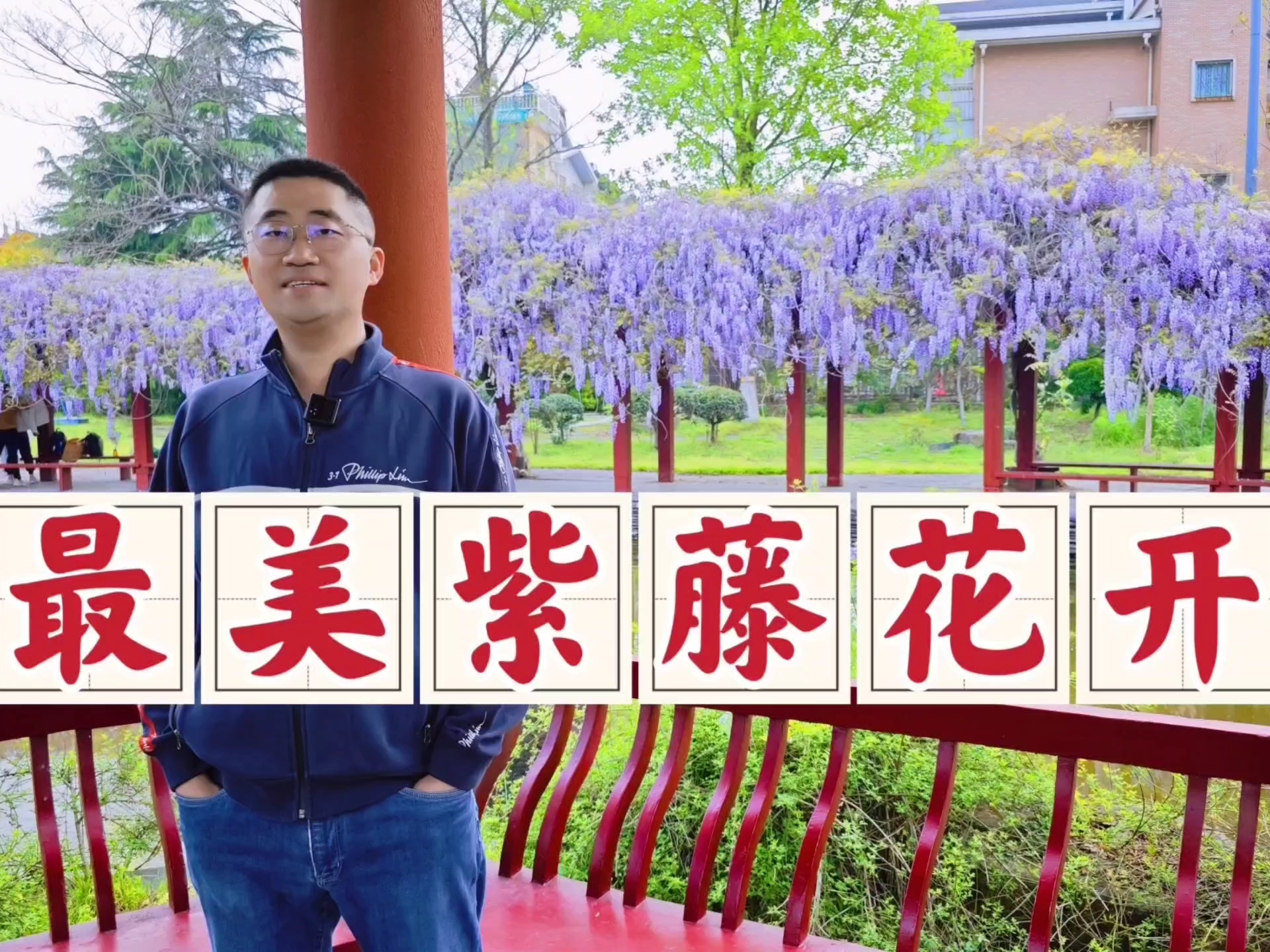 泰州西湖翠苑紫藤花开，当年我的无意宣传，竟让其成为了网红景点