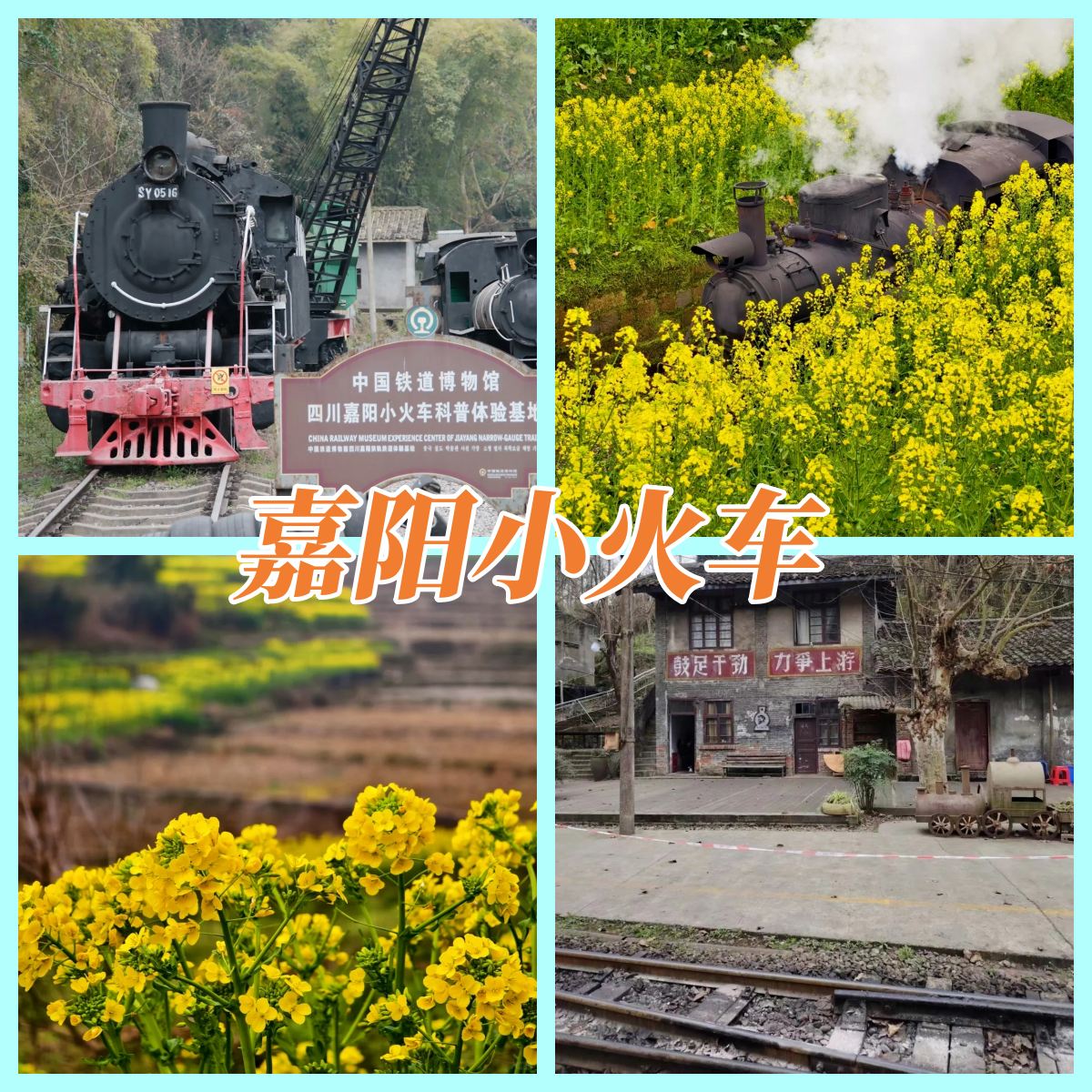 嘉阳小火车与油菜花：穿越时光的春日之旅