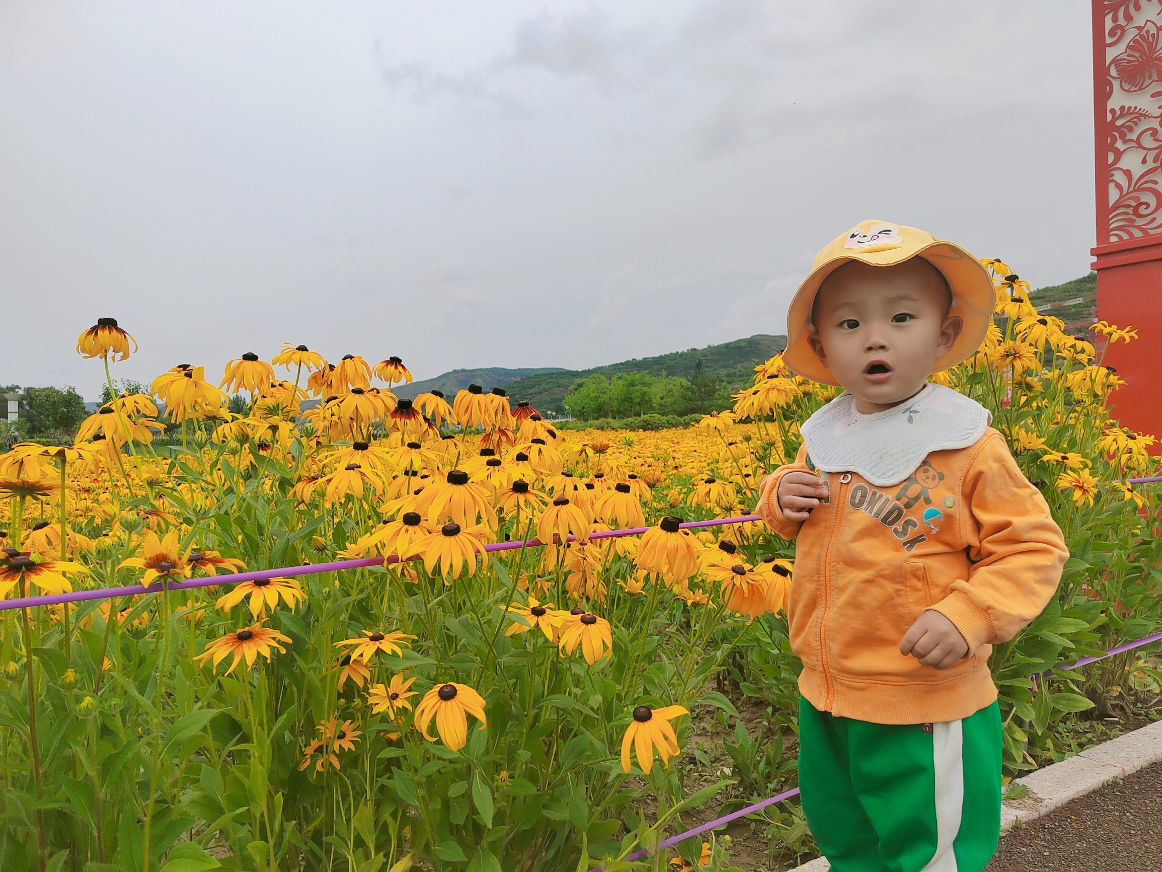 #带着孩子看世界 #带孩子认识植物