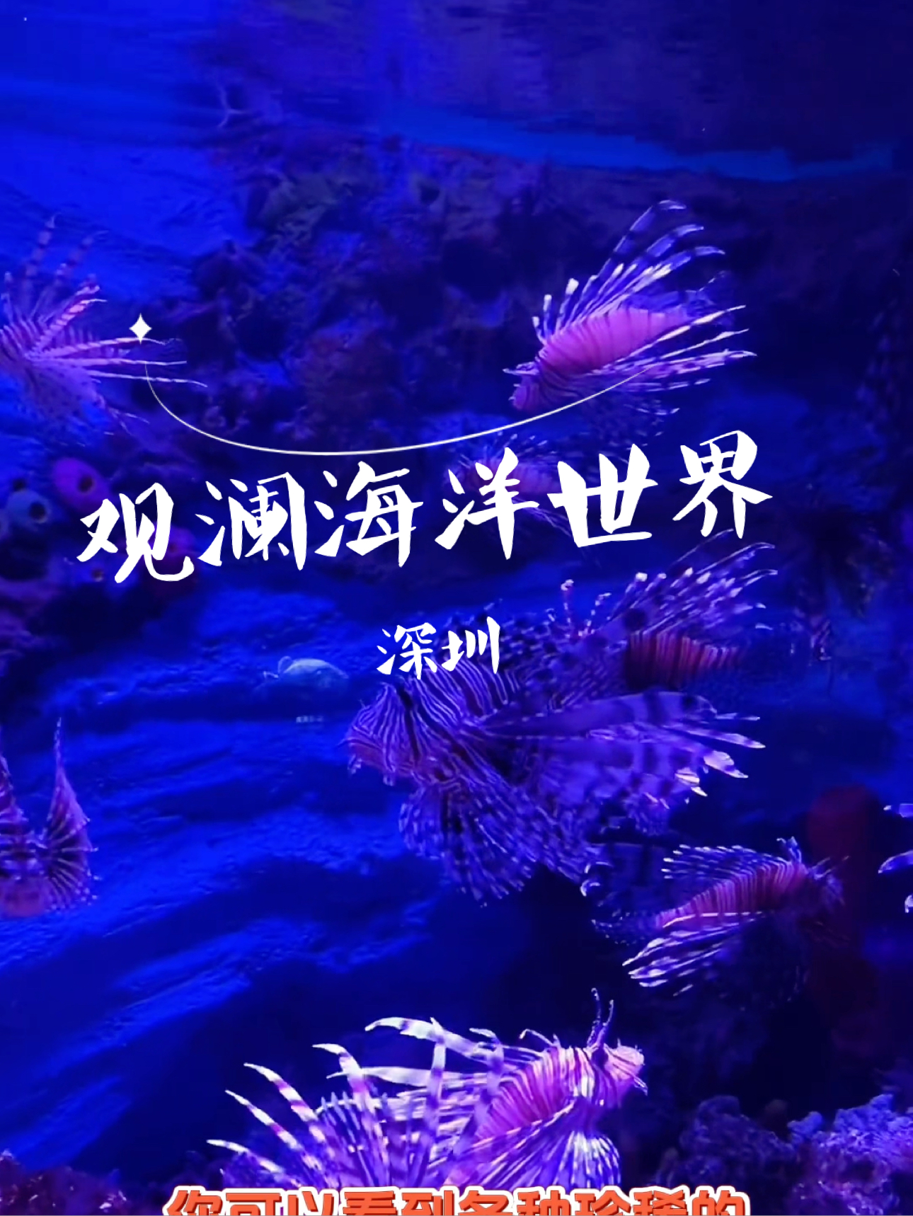 观澜海洋世界