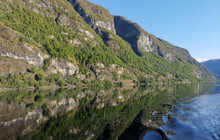 Undredal Fjord Kafe餐厅图片