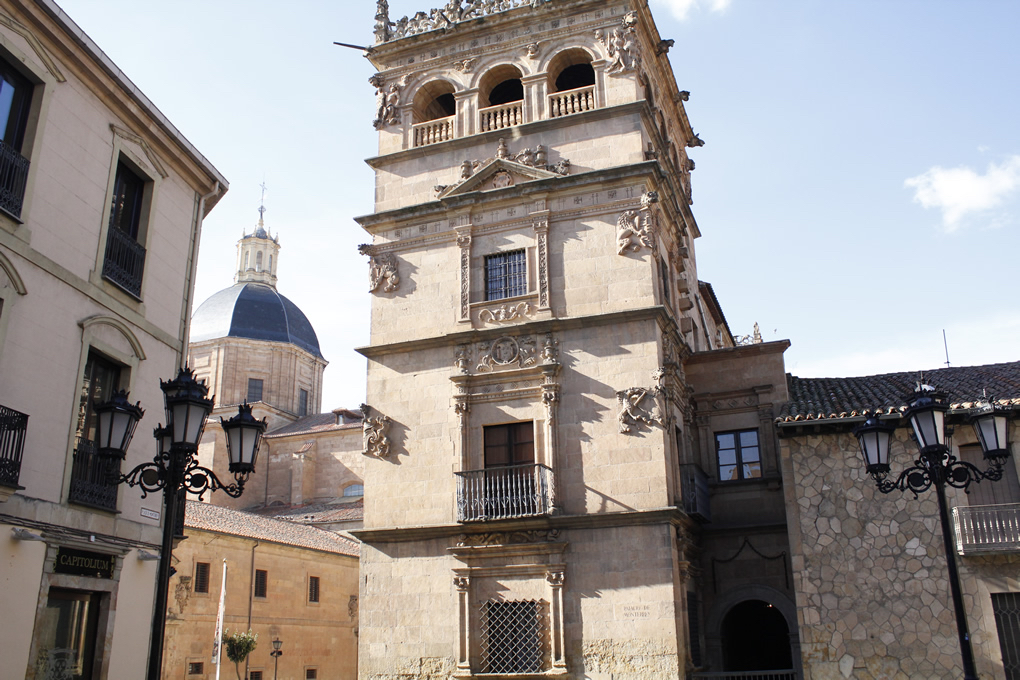 萨拉曼卡蒙特雷宫 Palacio de Monterrey