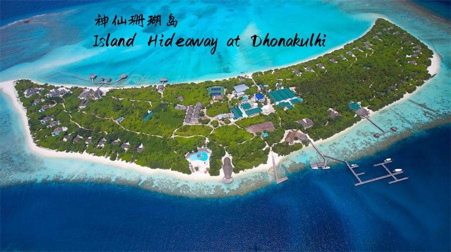 马尔代夫🏝️为什么必去神仙珊瑚岛🌅