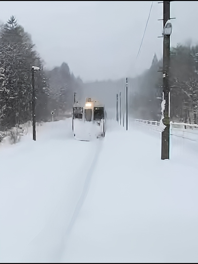 安比高原的雪国列车🚄