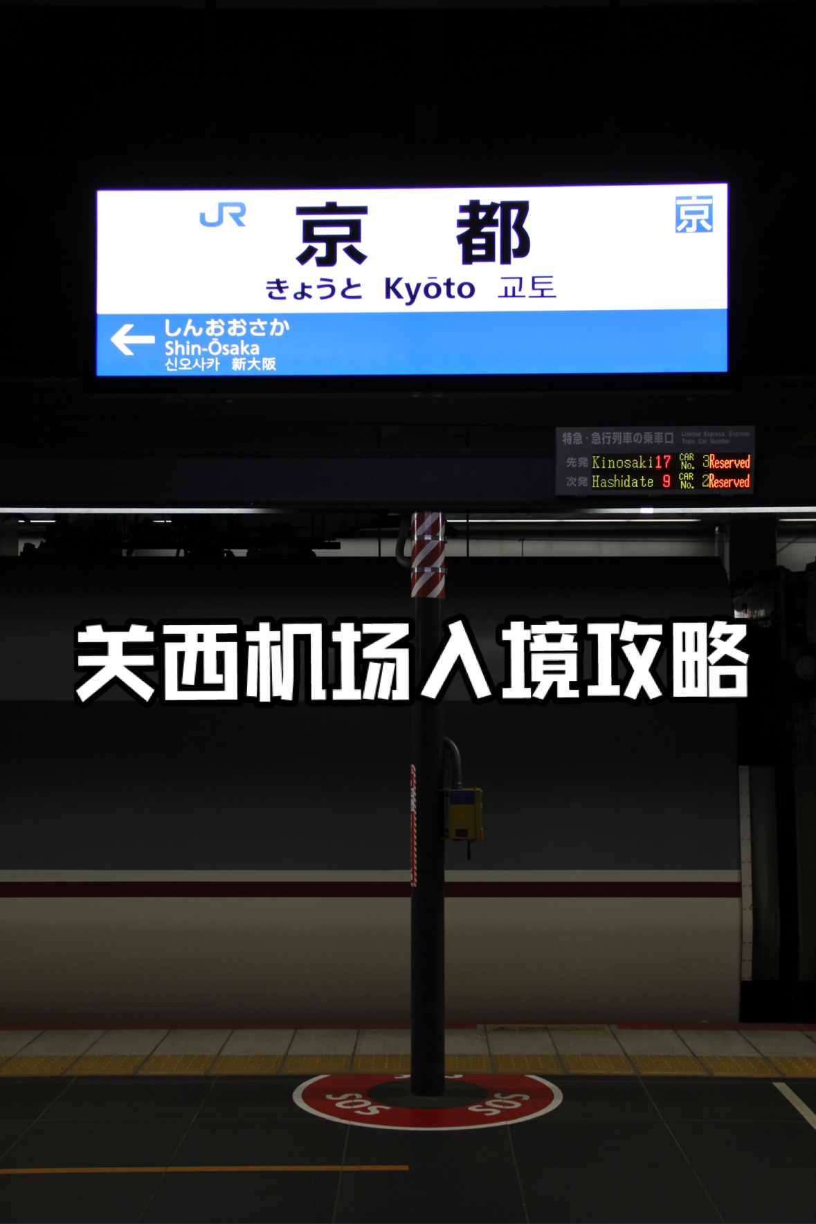 热乎的❗️大阪机场入境指南➕Haruka攻略