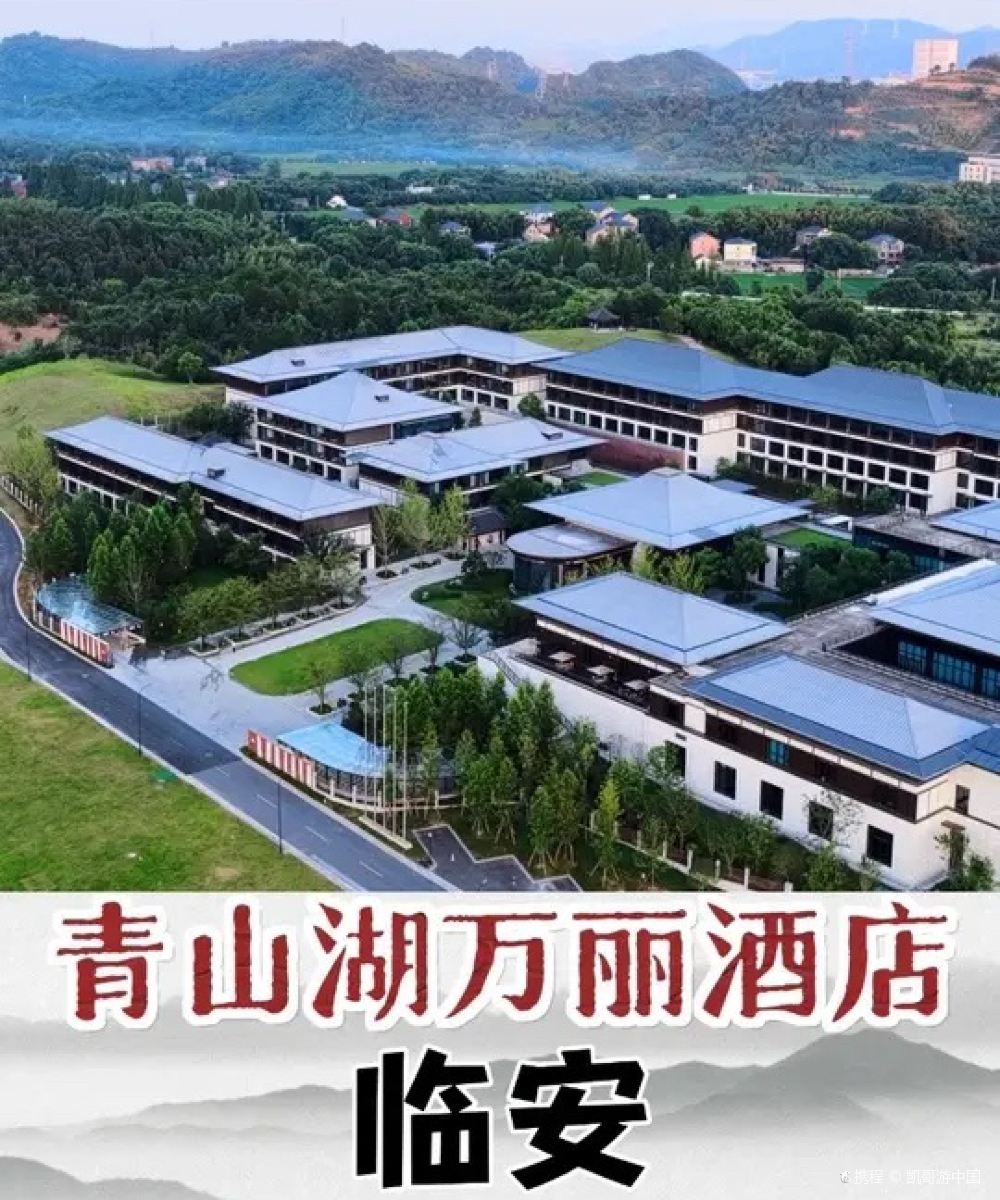 杭州临安青山湖科技城万丽酒店图片
