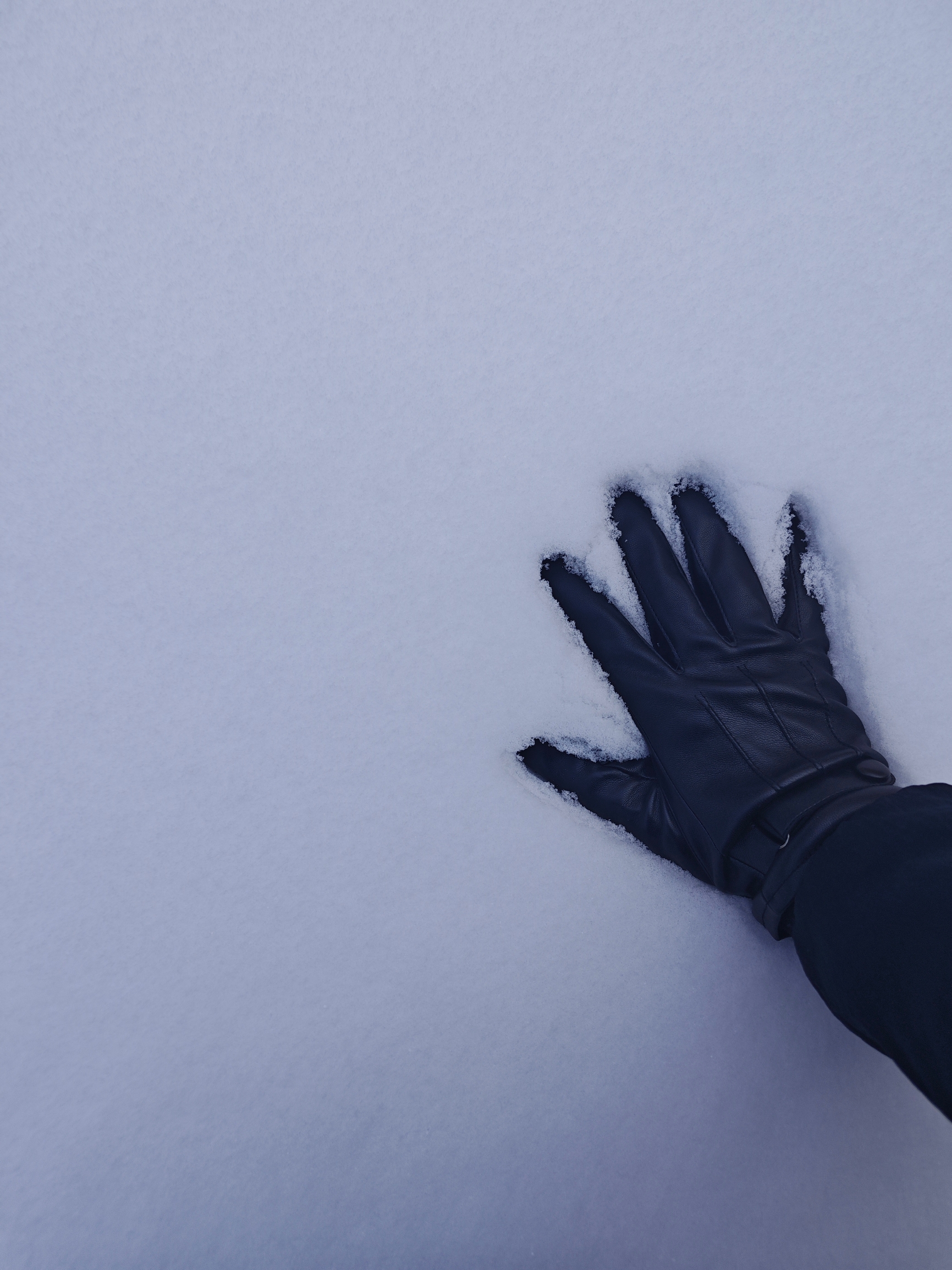 好几年没有如此大的雪了