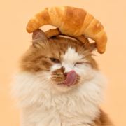 是冉冉大美女也~