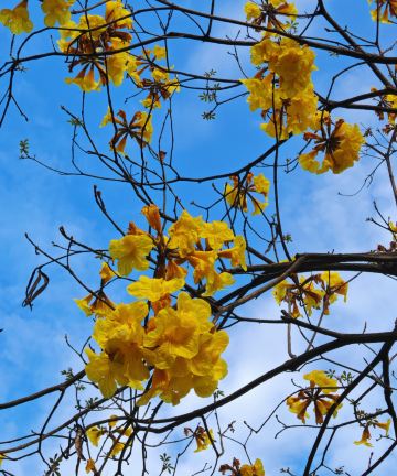 雅轩酒店(乐山市人民医院高新院区店)图片