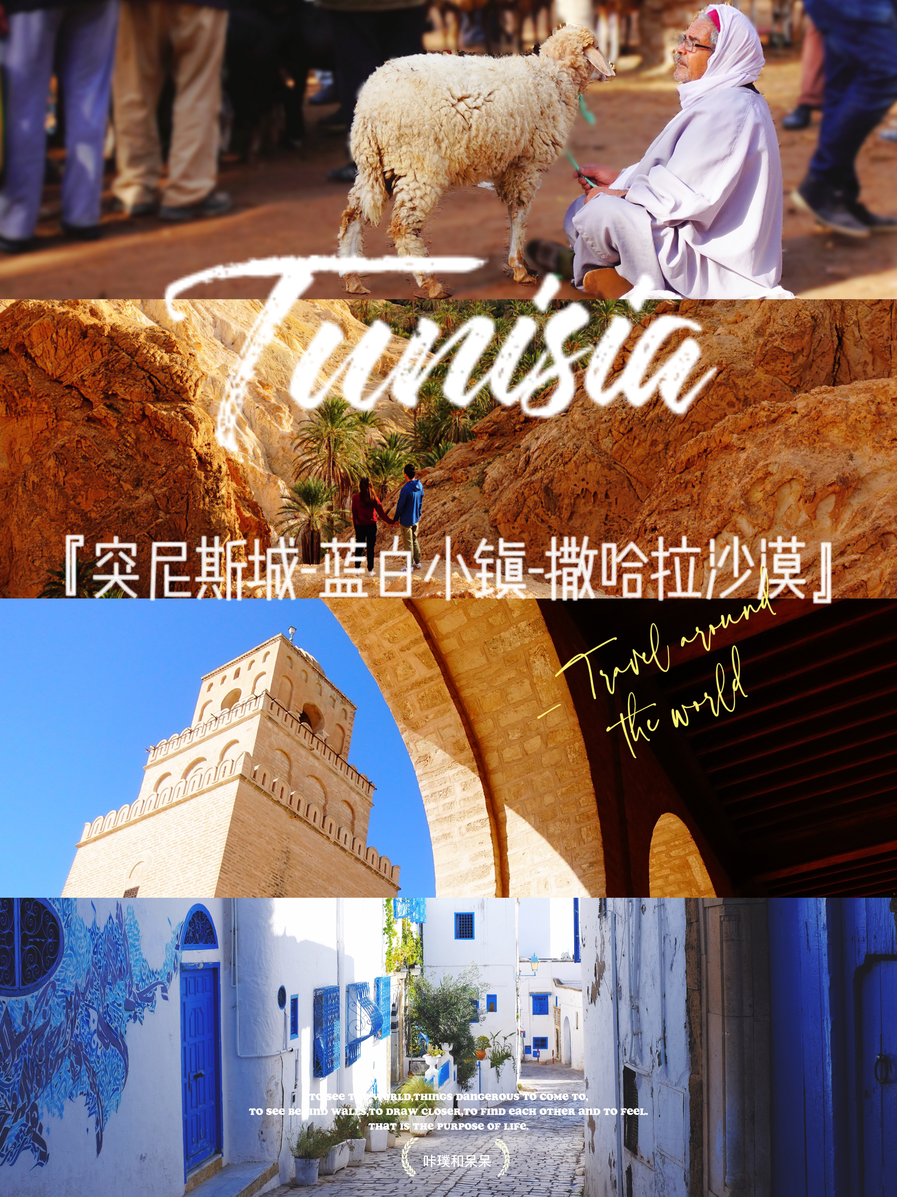 北非旅行，我为什么推荐突尼斯？