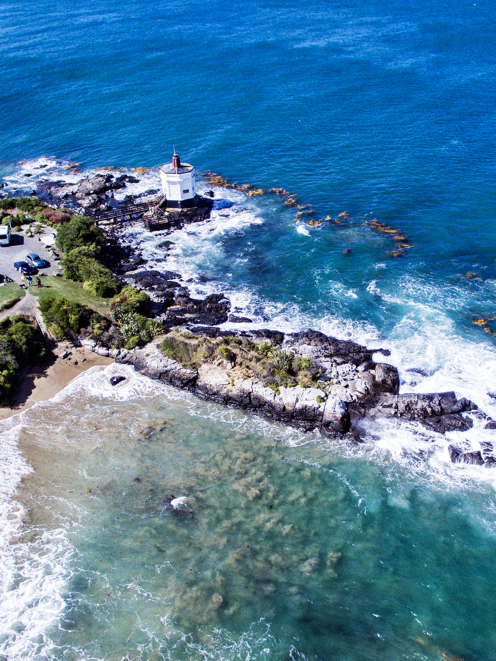 Oyster Cove Cafe and Bar