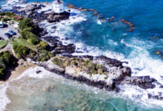 Oyster Cove Cafe and Bar美食图片