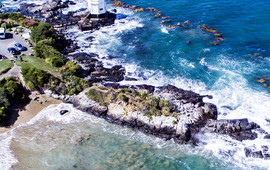 Oyster Cove Cafe and Bar