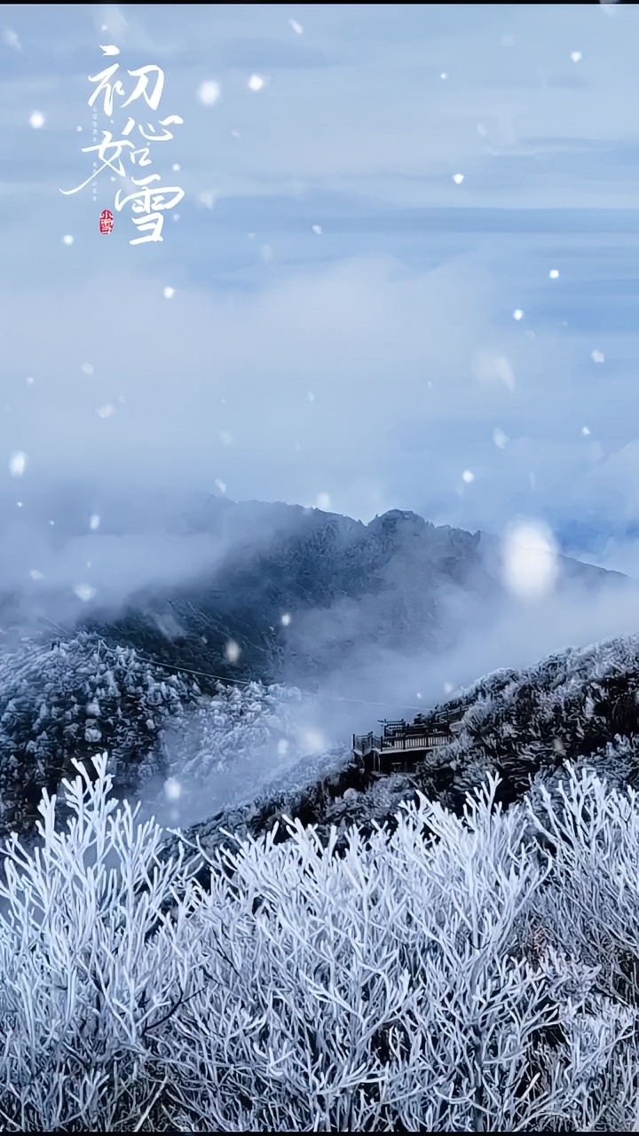 未来半个月持续低温，快来金铙山开启一场冬日寻雪之旅#雾凇美景 #一场大雪美如画 #保持热爱奔赴山海 
