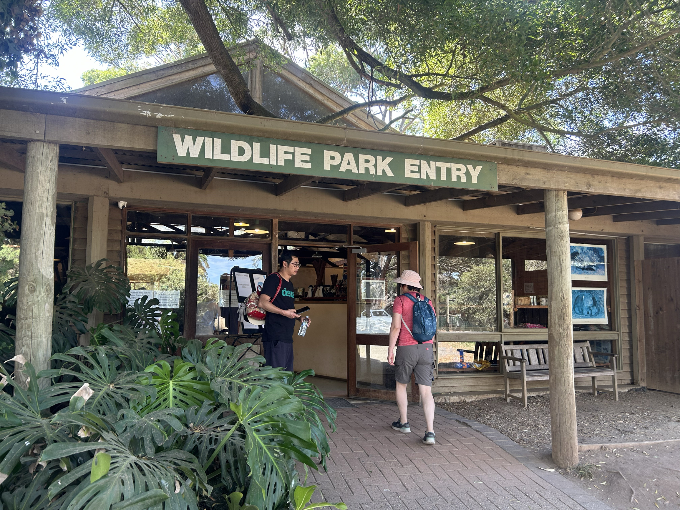 菲利普岛野生动物园酷暑游