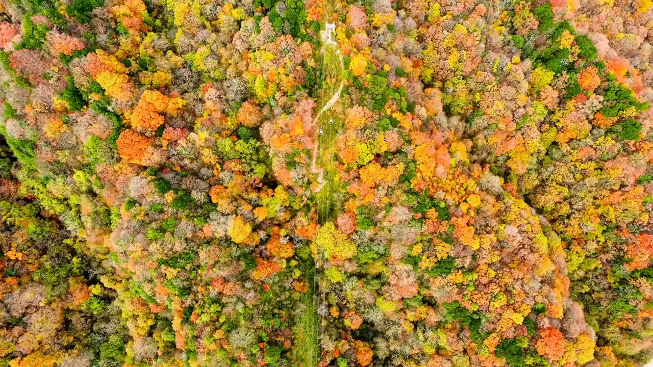 光雾🍁变装❄️