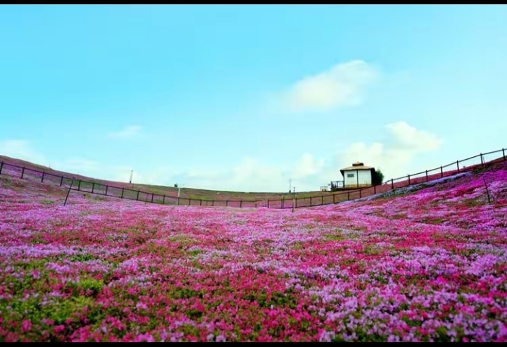 春风十里小镇度假区，基于原来的茶山竹林、低丘缓坡依势而建，有花乡嫁圃、十里人家、田园牧歌、禅茶一味、